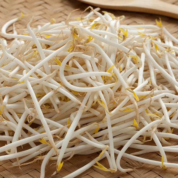 Bean Sprouts [250g pack] - Fruit Thyme