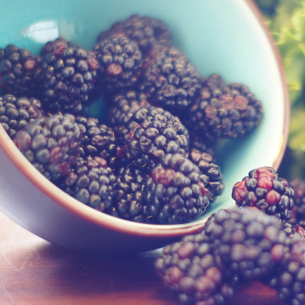 Blackberries [punnet] - Fruit Thyme