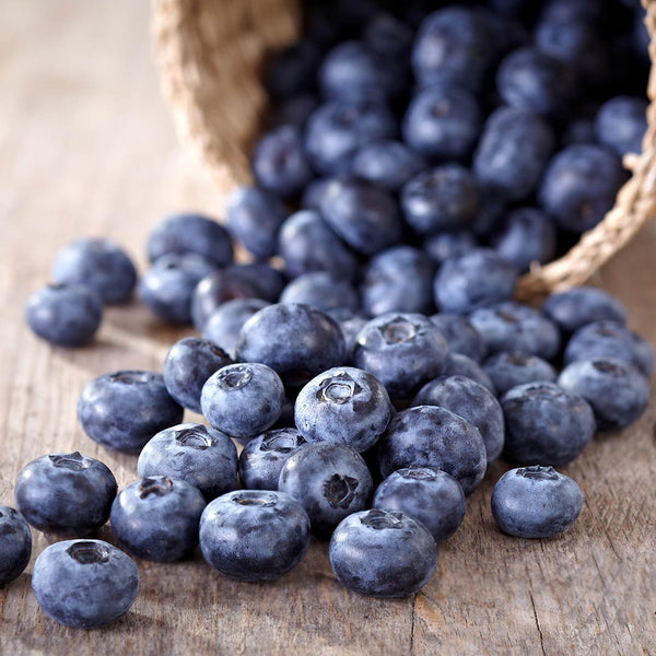 Blueberries [punnet] - Fruit Thyme