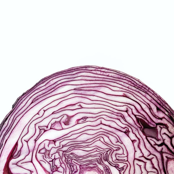 Cabbage Red [half] - Fruit Thyme