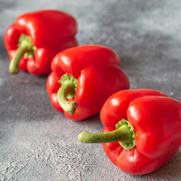 Capsicum Red [each] - Fruit Thyme