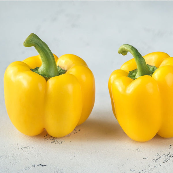 Capsicum Yellow [each] - Fruit Thyme