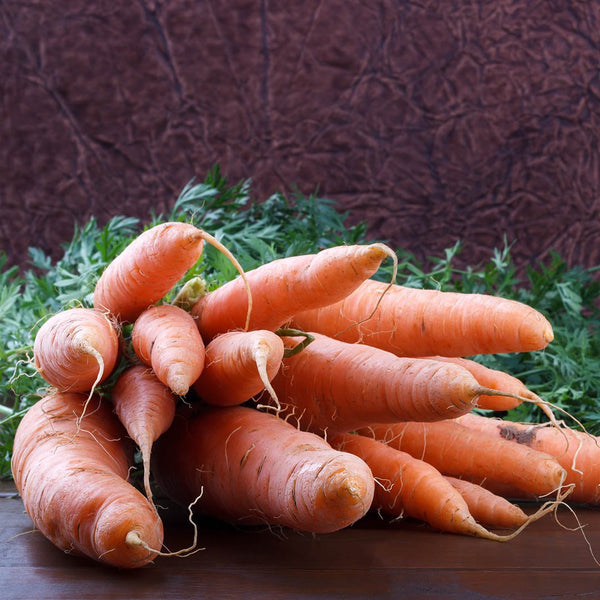 Carrots [500g pack] - Fruit Thyme