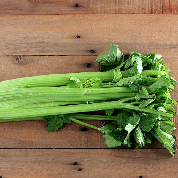 Celery [bunch] - Fruit Thyme