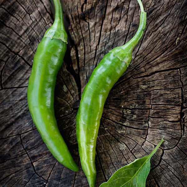 Chillies Green [200g] - Fruit Thyme