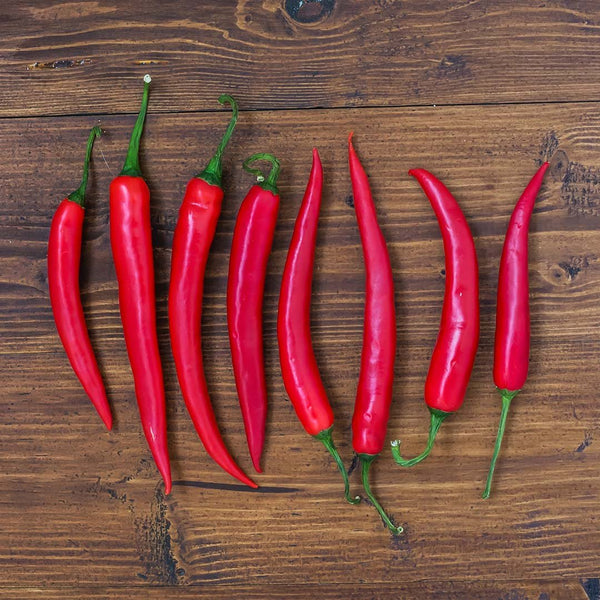 Chillies Red [200g] - Fruit Thyme