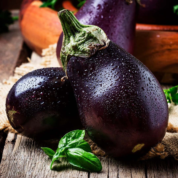 Eggplant [each] - Fruit Thyme
