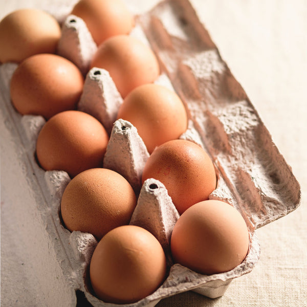 Eggs Free Range [dozen] - Fruit Thyme
