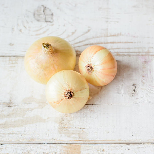 Onions Brown [each] - Fruit Thyme
