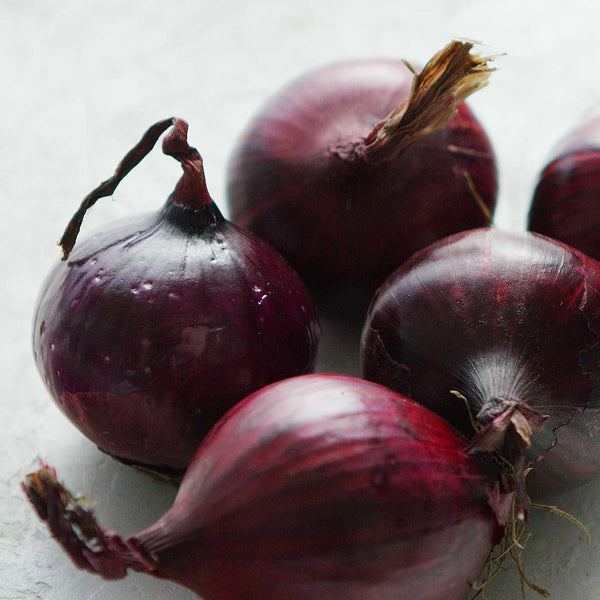 Onions Red [each] - Fruit Thyme