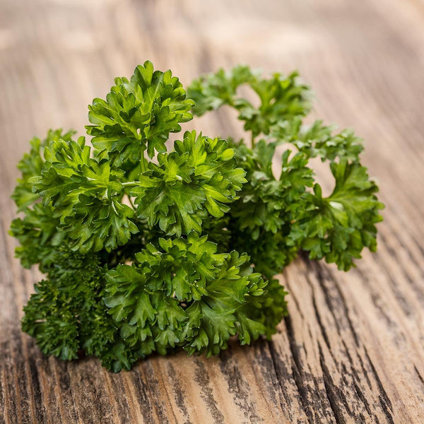Parsley Curly [bunch] - Fruit Thyme