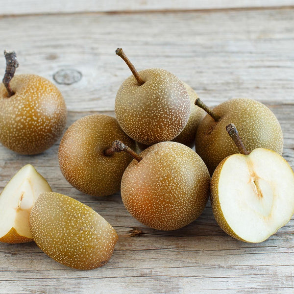 Pears Nashi [each] - Fruit Thyme