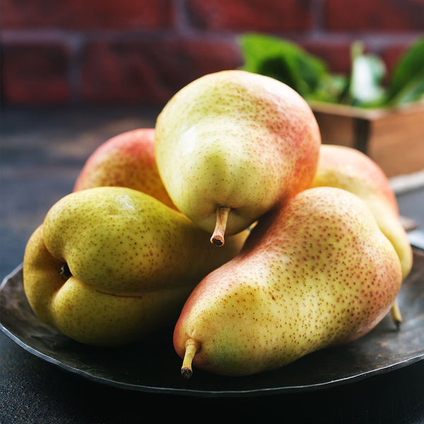 Pears [each] - Fruit Thyme