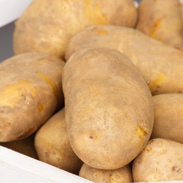 Potatoes Dirty [1kg] - Fruit Thyme
