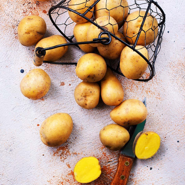 Potatoes Dutch Cream [1kg] - Fruit Thyme