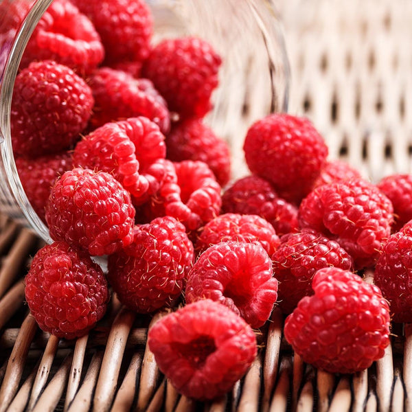 Raspberries [punnet] - Fruit Thyme