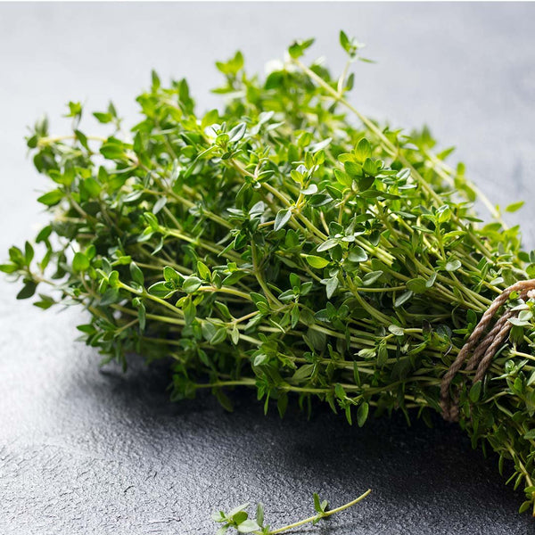 Thyme [bunch] - Fruit Thyme