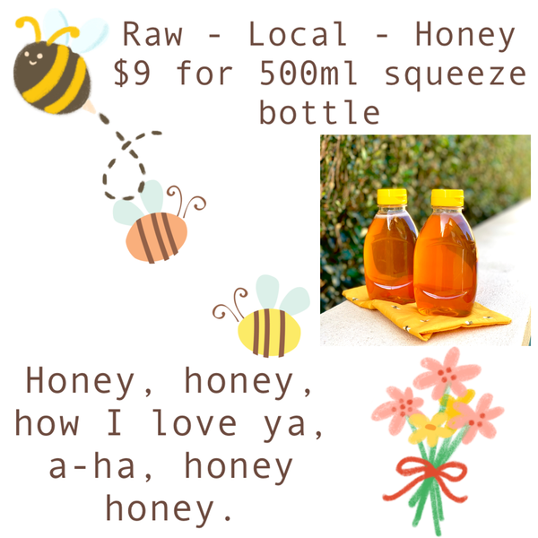 Honey Raw Local [500g Squeeze Pack] - Fruit Thyme