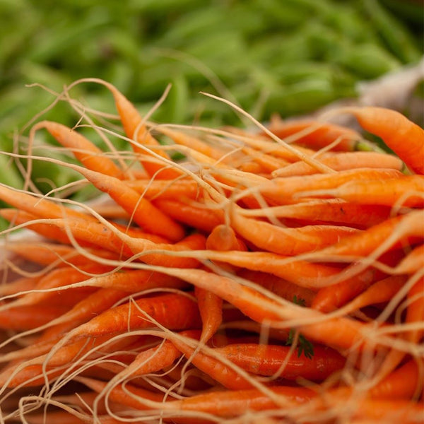 Carrots Baby [bunch] - Fruit Thyme