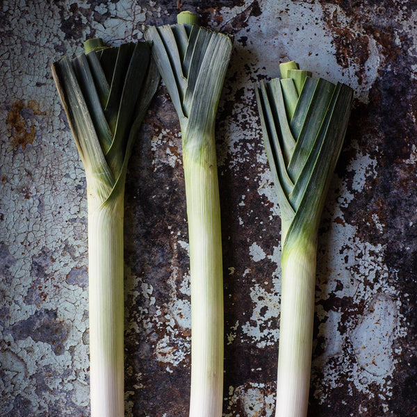 Leeks [bunch] - Fruit Thyme