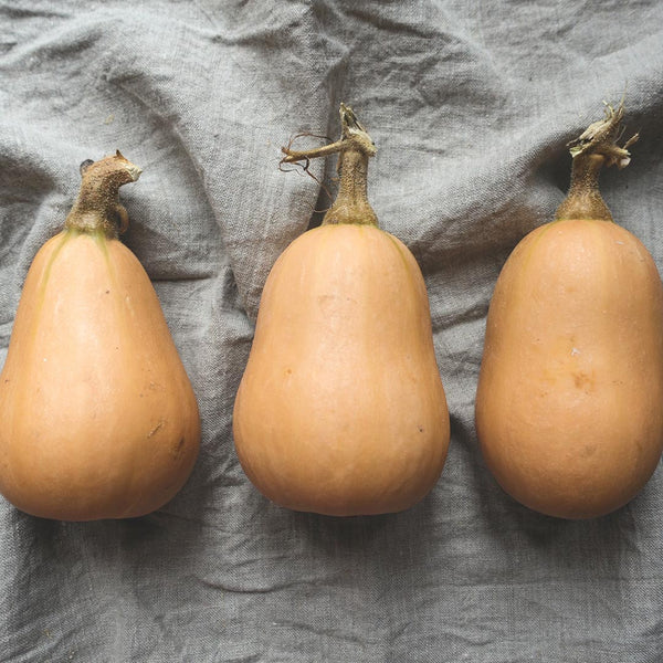 Pumpkin Butternut [whole] THIS WEEKS SPECIAL - Fruit Thyme