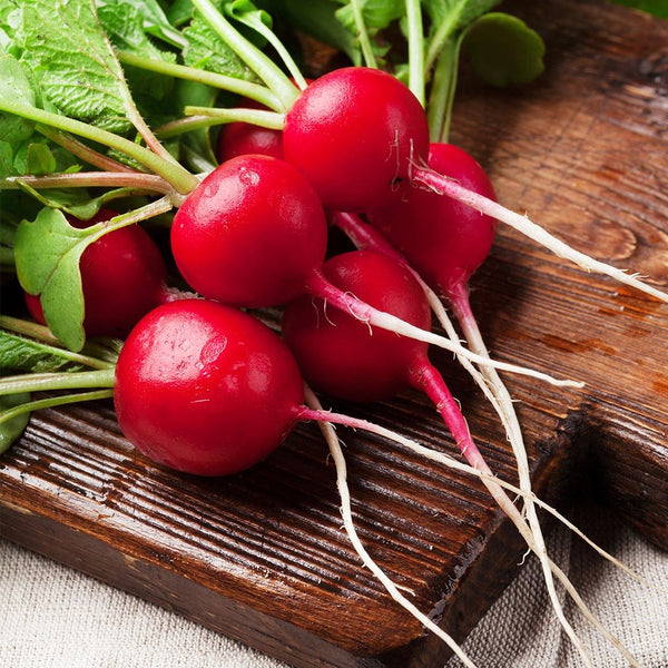 Radish [bunch] - Fruit Thyme