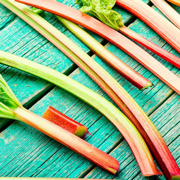 Rhubarb [500g bunch] - Fruit Thyme