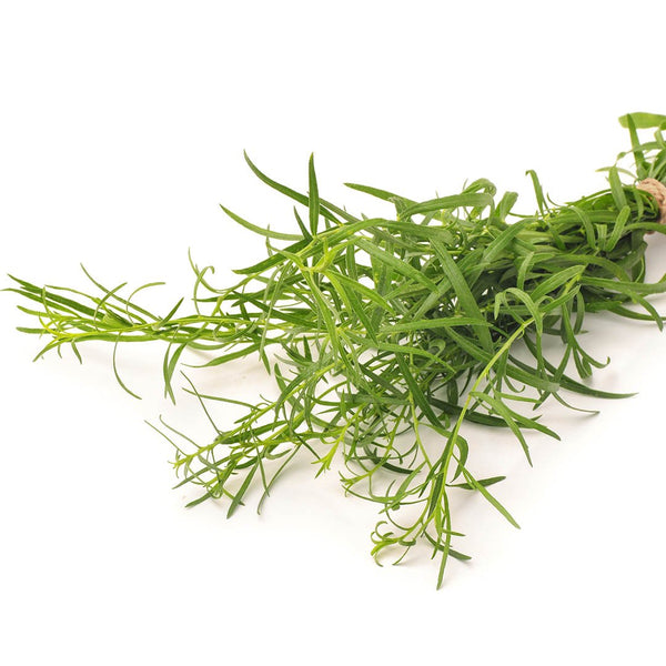 Tarragon [bunch] - Fruit Thyme