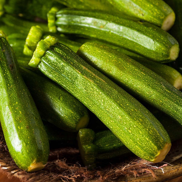 Zucchini [each] - Fruit Thyme