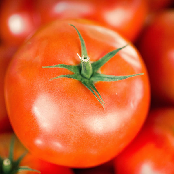 Tomatoes [each] - Fruit Thyme