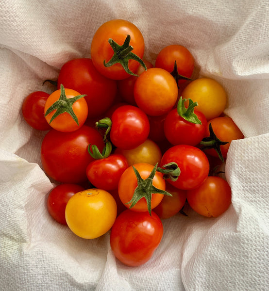 Tomatoes Heirloom [mixed punnet] - Fruit Thyme